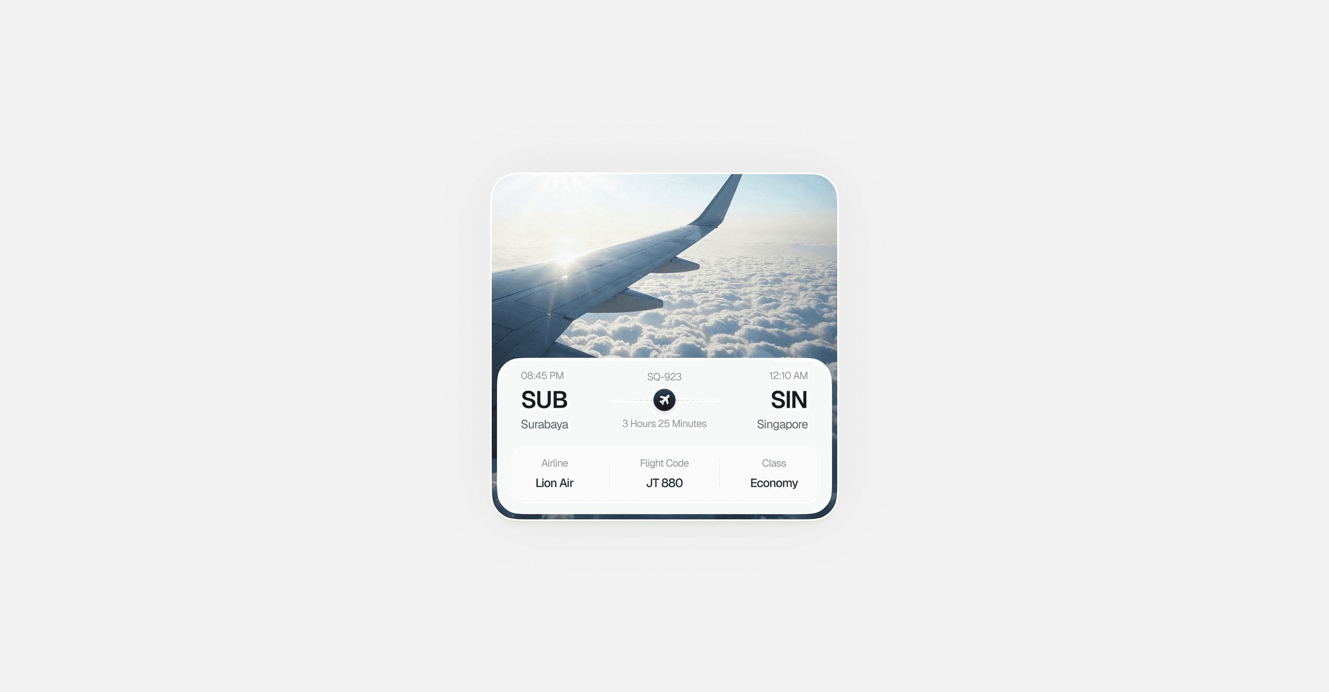 user interface image of an airline booking platform